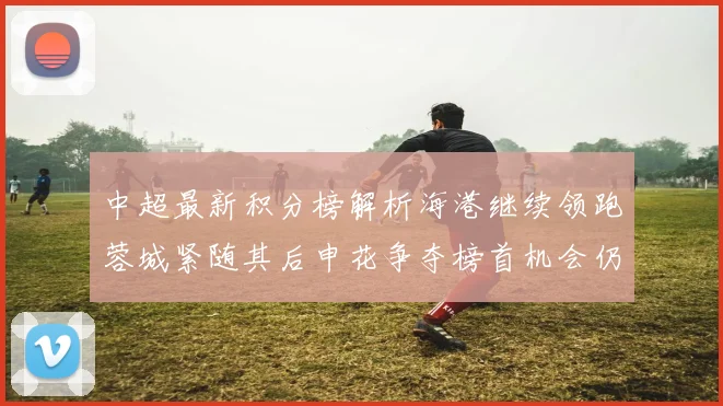 中超最新积分榜解析海港继续领跑蓉城紧随其后申花争夺榜首机会仍在